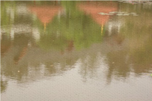 Reflections